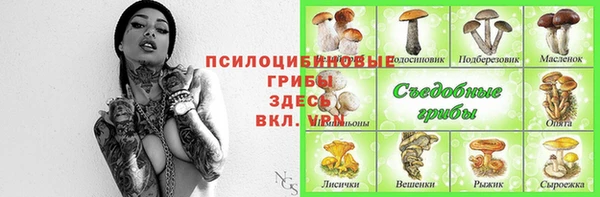 прущий лед Алексеевка