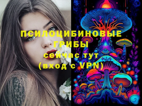 ПСИЛОЦИБИНОВЫЕ ГРИБЫ Алексин