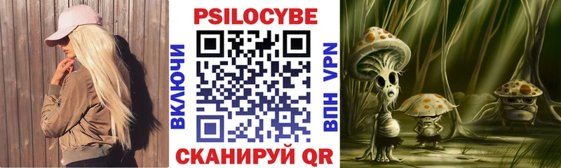 Галлюциногенные грибы Magic Shrooms  ссылка на мегу вход  Жердевка 